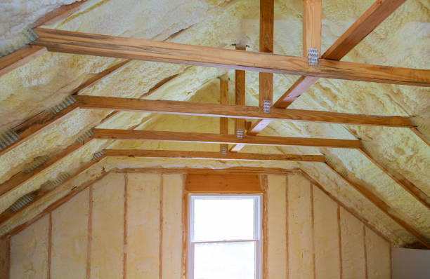 Best Insulation Repair Services  in Long Branch, NJ