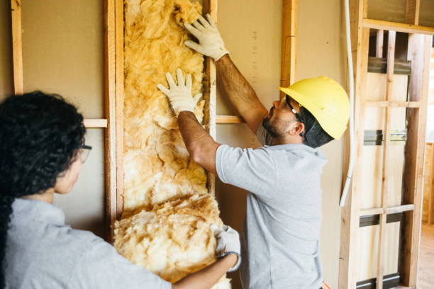 Best Spray Foam Insulation  in Long Branch, NJ